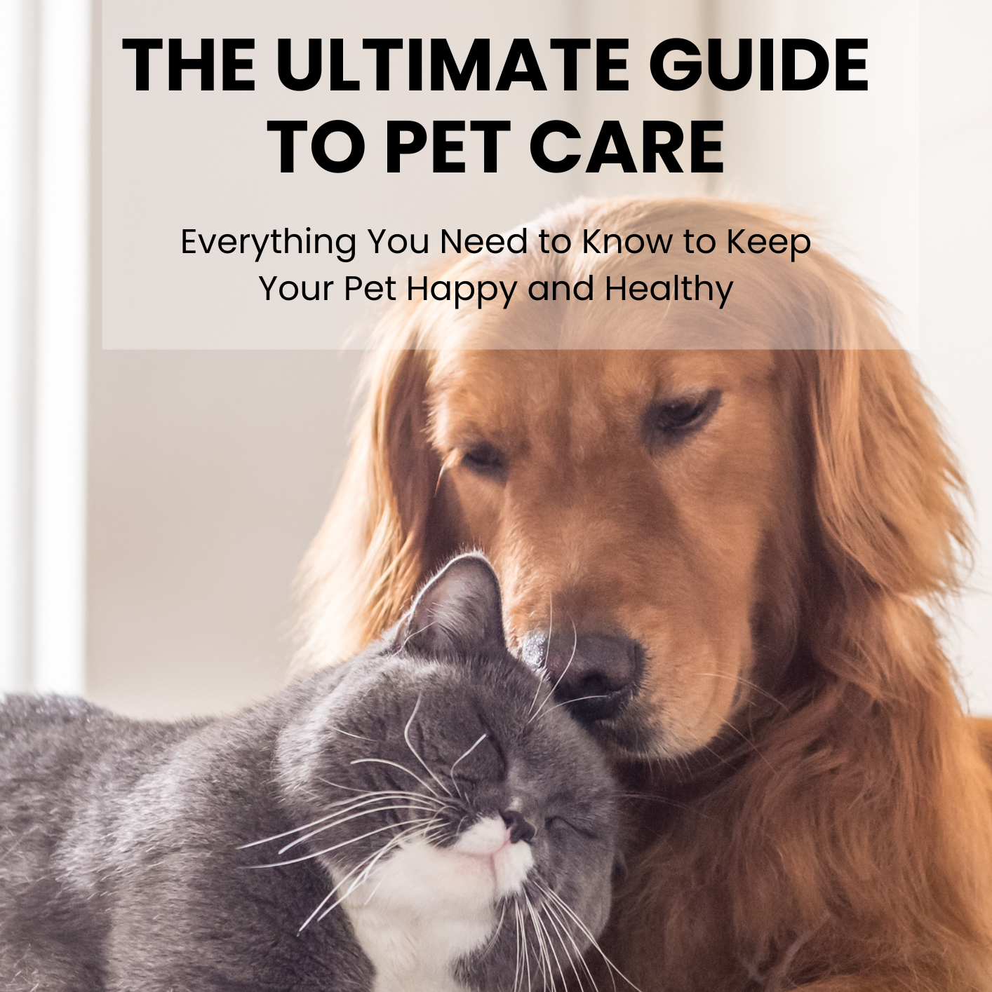 Dog and cat together with text 'The Ultimate Guide to Pet Care' on a white background